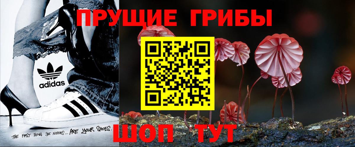 Псилоцибиновые грибы Cubensis  купить наркотик  Чернушка  Вход с VPN 